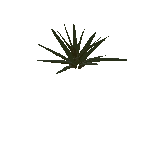 Plant 5 Large_1